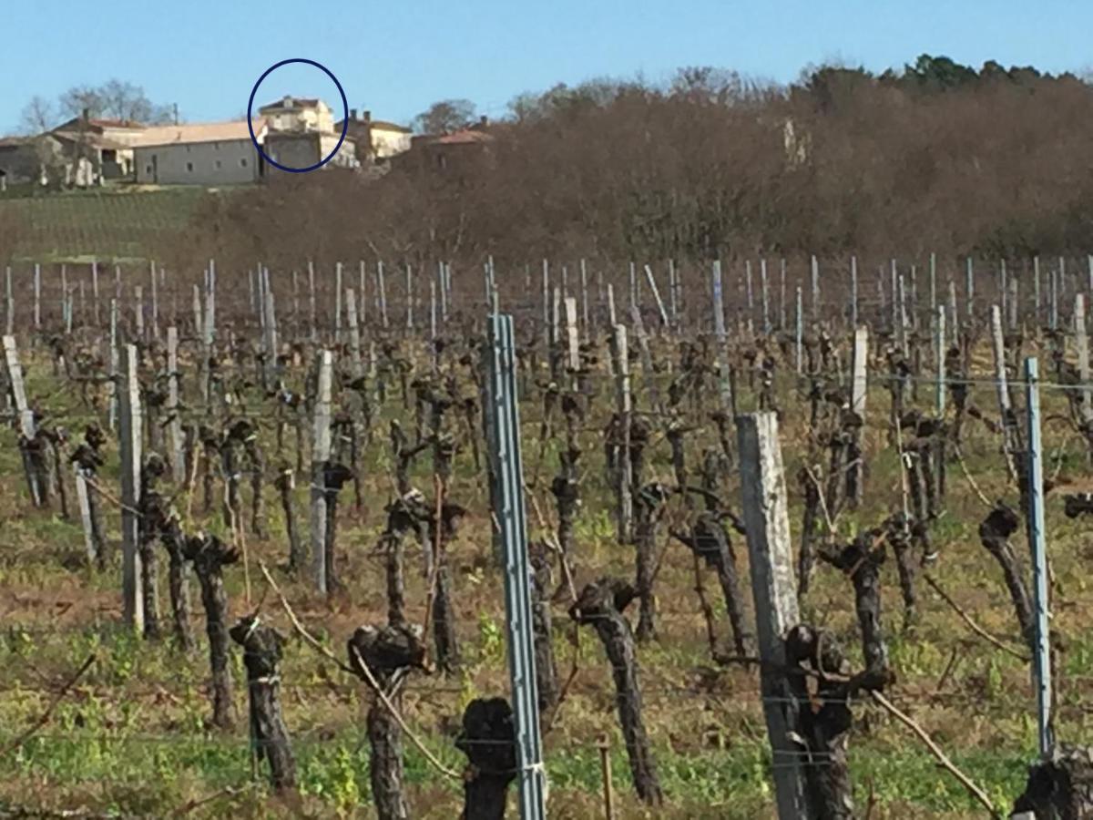 Superbe Gite A La Campagne Dans Le Bordelais Saint-Vivien-de-Blaye Eksteriør bilde